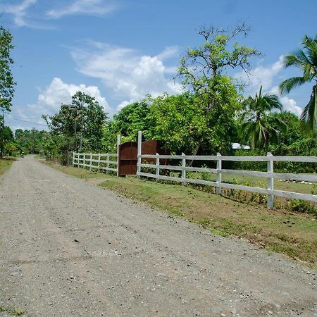 Hospedaje Y Alojamiento Cabanas Don Beto La Palma Luaran gambar