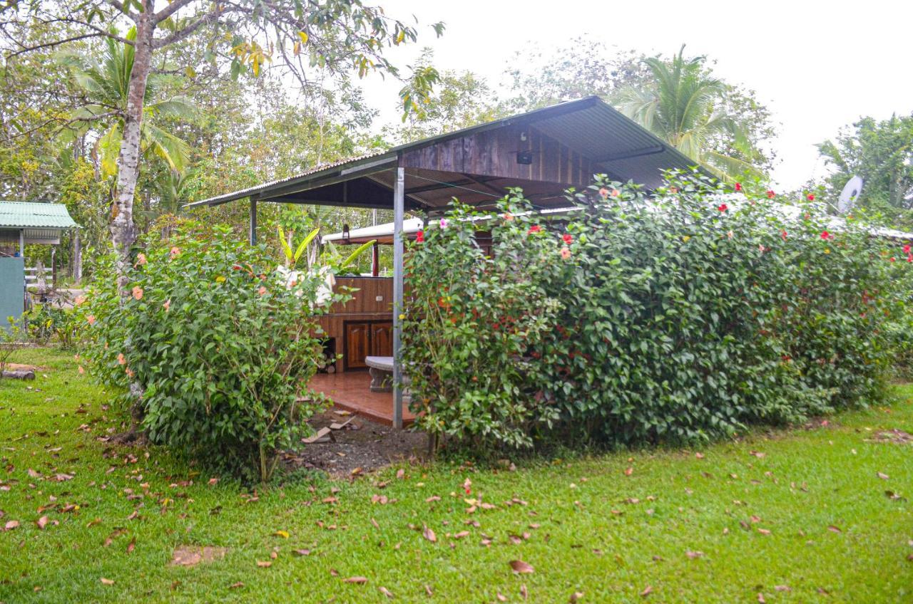Hospedaje Y Alojamiento Cabanas Don Beto La Palma Luaran gambar