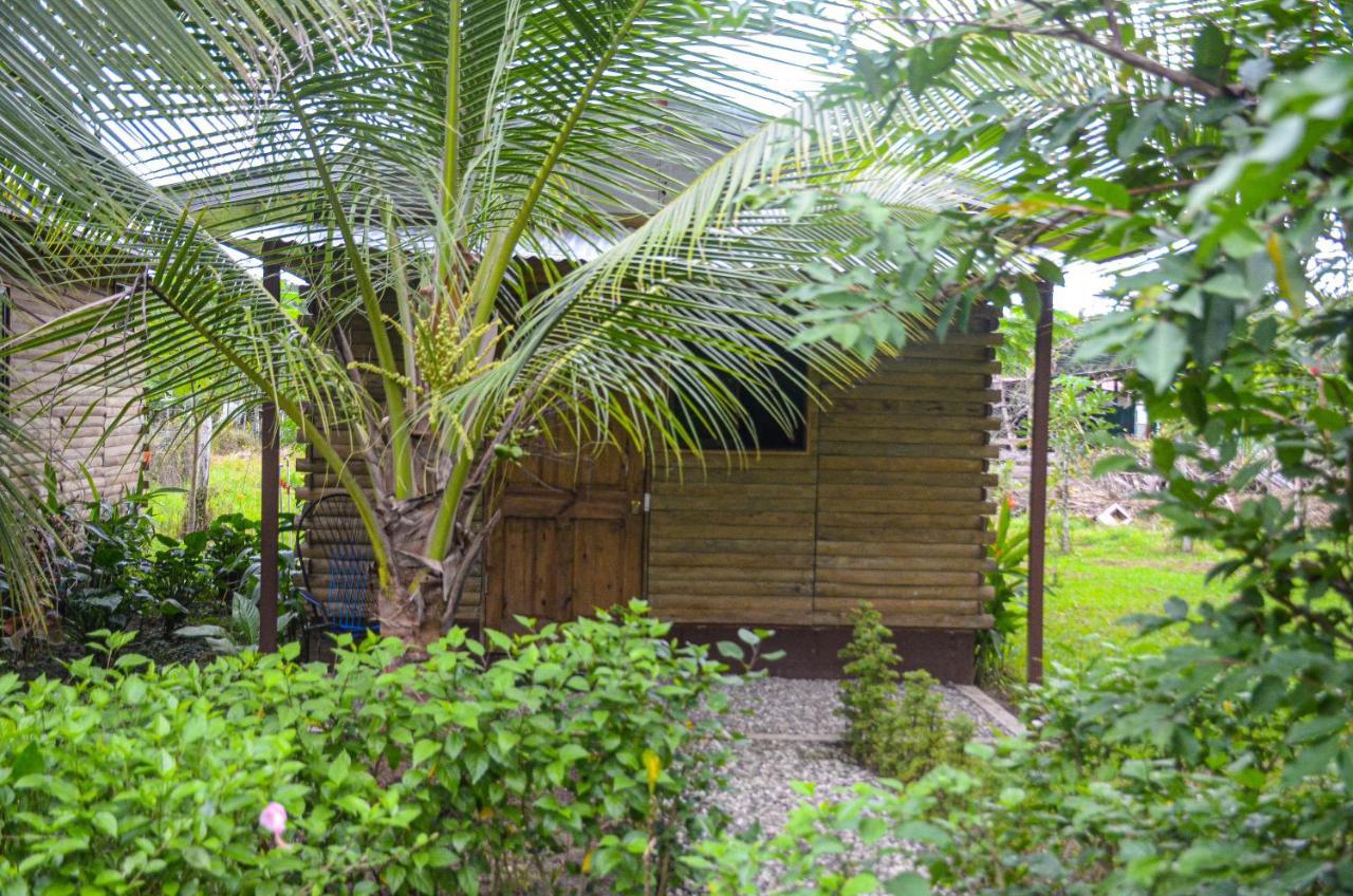 Hospedaje Y Alojamiento Cabanas Don Beto La Palma Luaran gambar